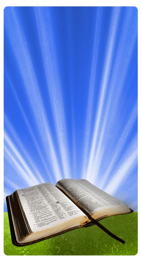 The Word of God Banner Widget